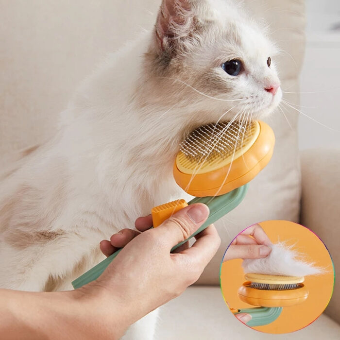 Pet Hair Removal Brush